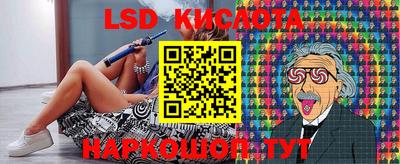 стаф Кингисепп