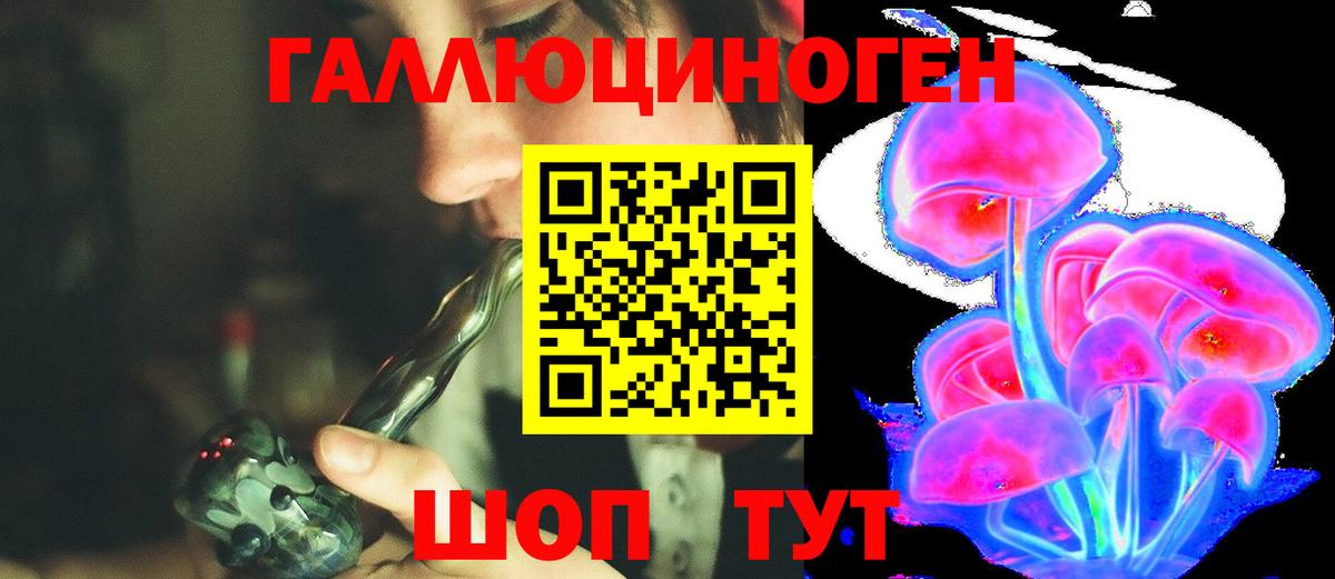 Галлюциногенные грибы Psilocybe  где продают наркотики  Вход с VPN  Королёв  Псилоцибиновые грибы Magic Shrooms 